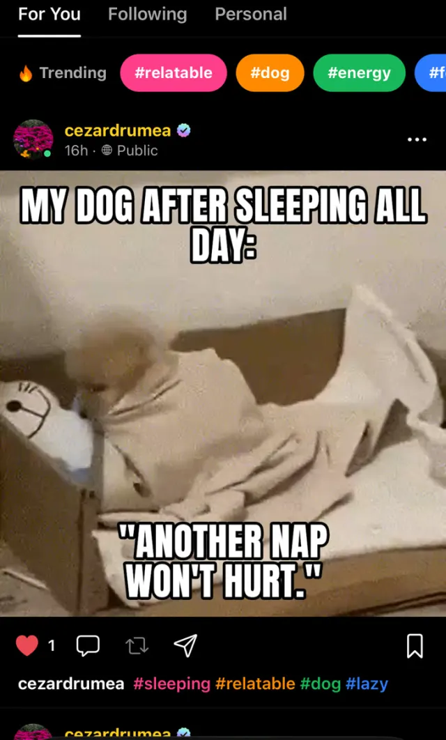 GifChat Memes feed, For You tab, with a post: My dog after sleeping all day, another nap won't hurt