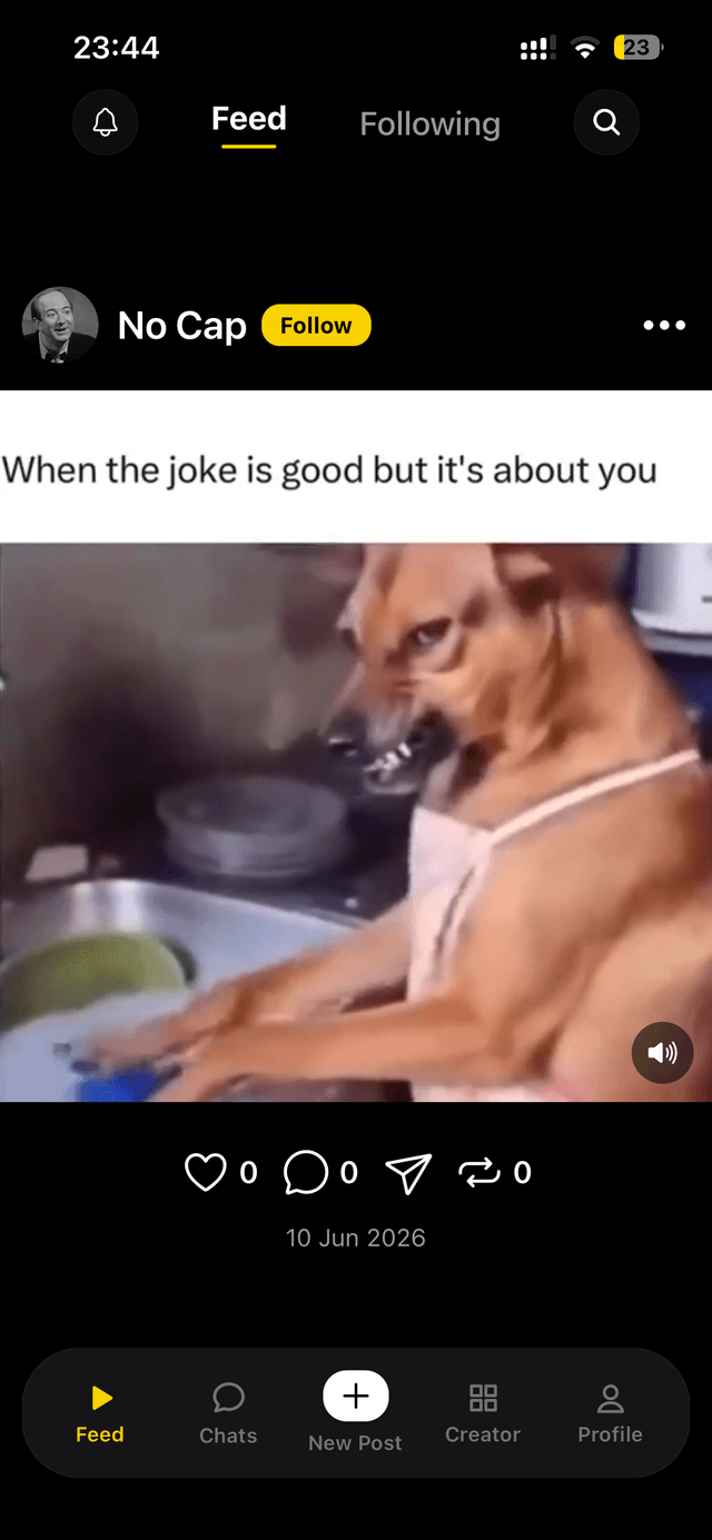 GifChat feed